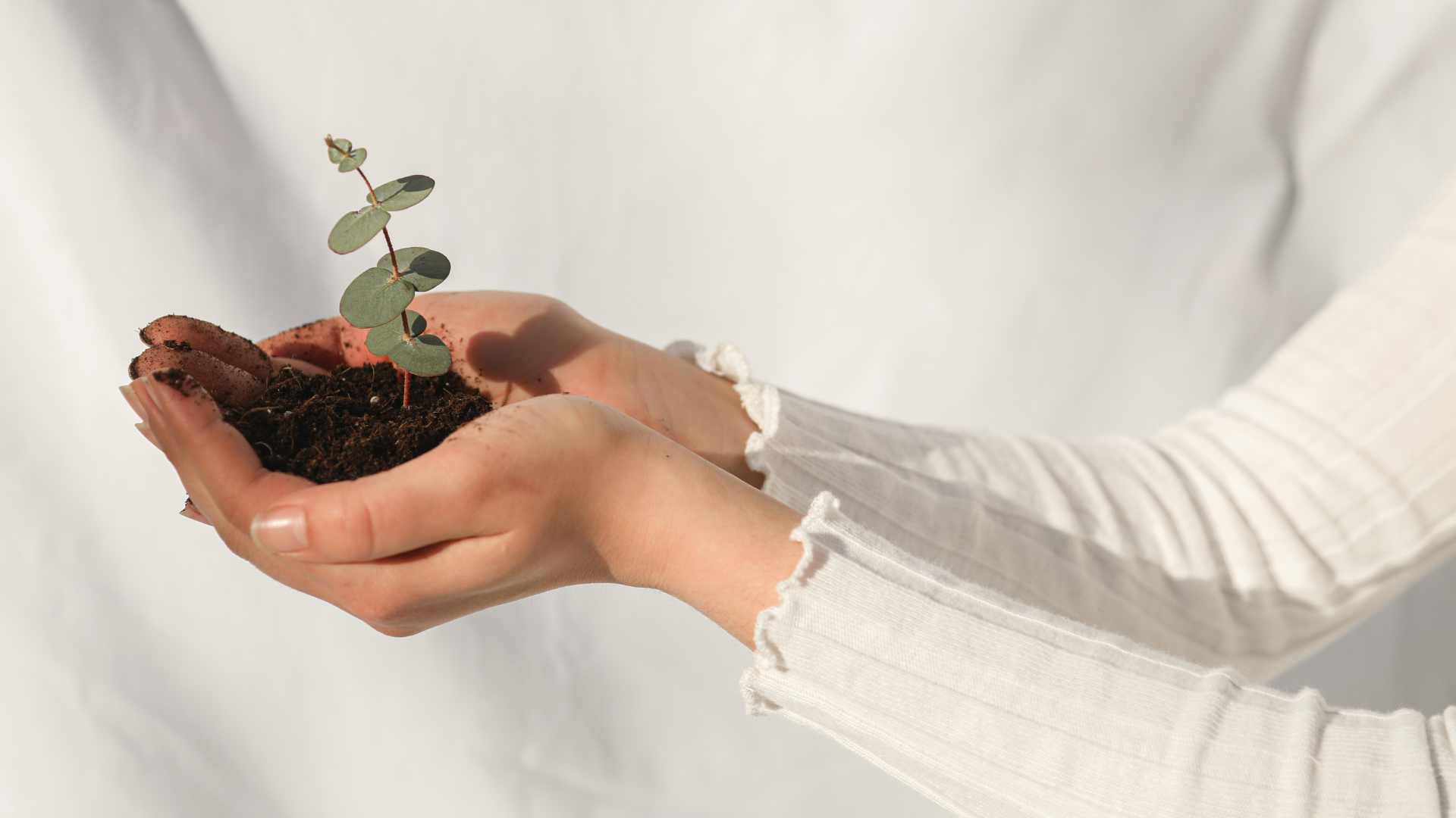 Shit is the best fertilizer — a woman’s hands holding soil and a small plant, symbolizing growth through life’s messy seasons like menopause.
